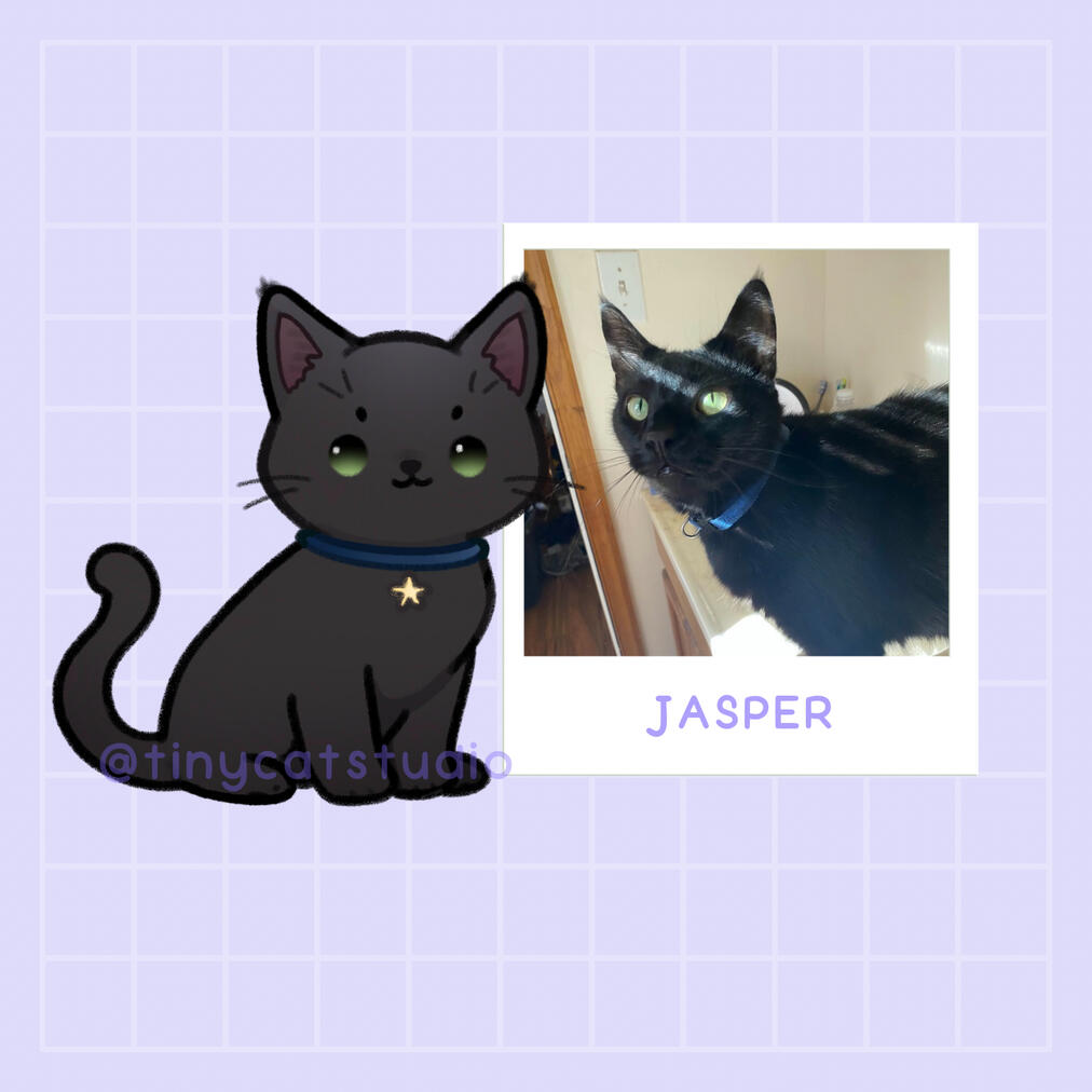 @kazukve | Jasper drinks exclusively from the kitchen sink