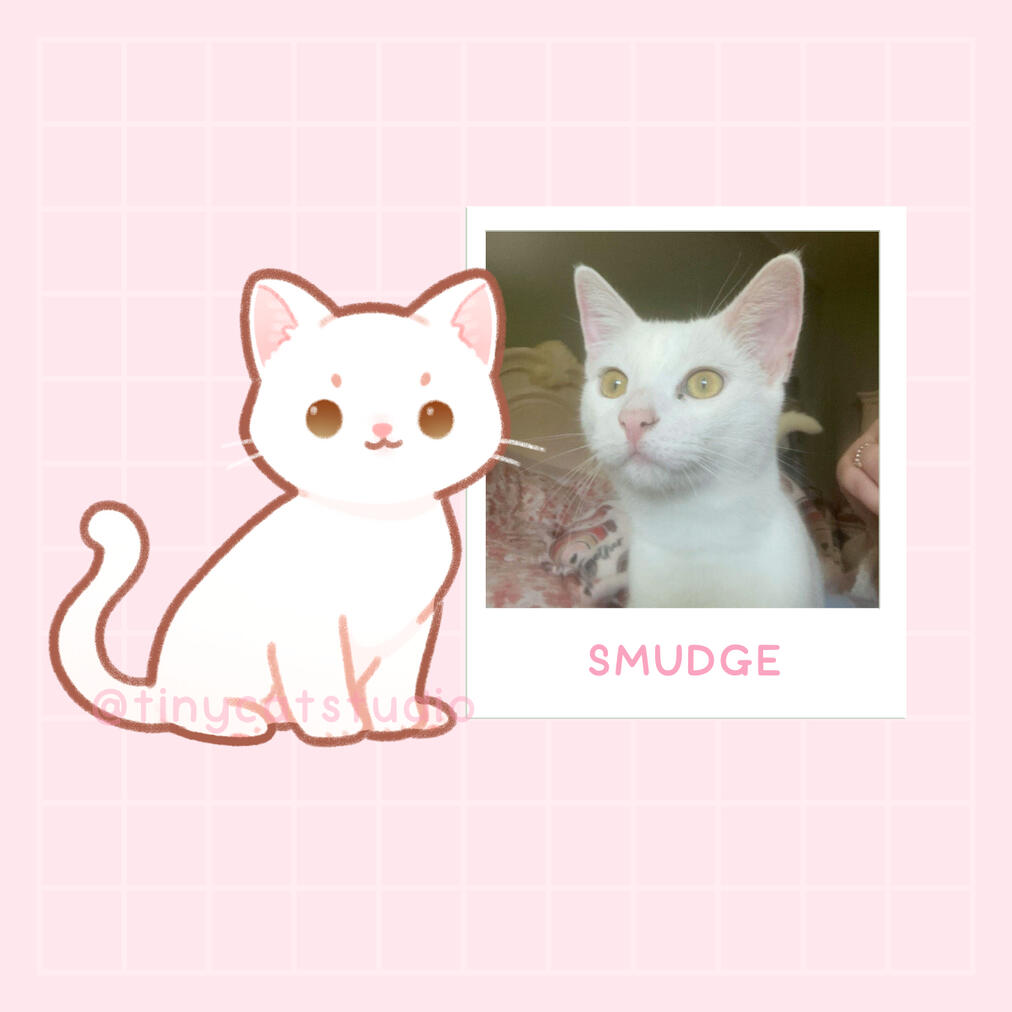 @kazukve | Smudge loves watermelon