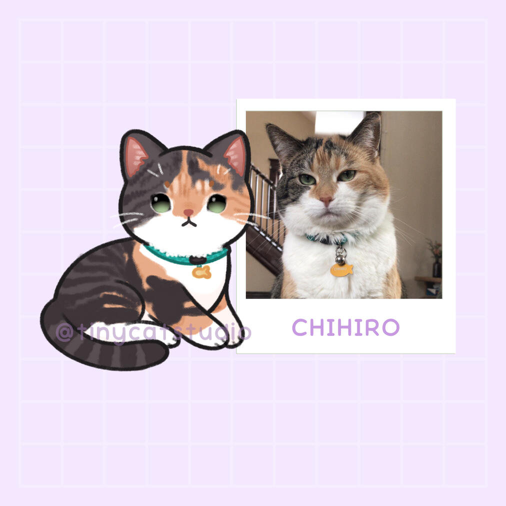 Cami | Chichi is a big judgemental idiot