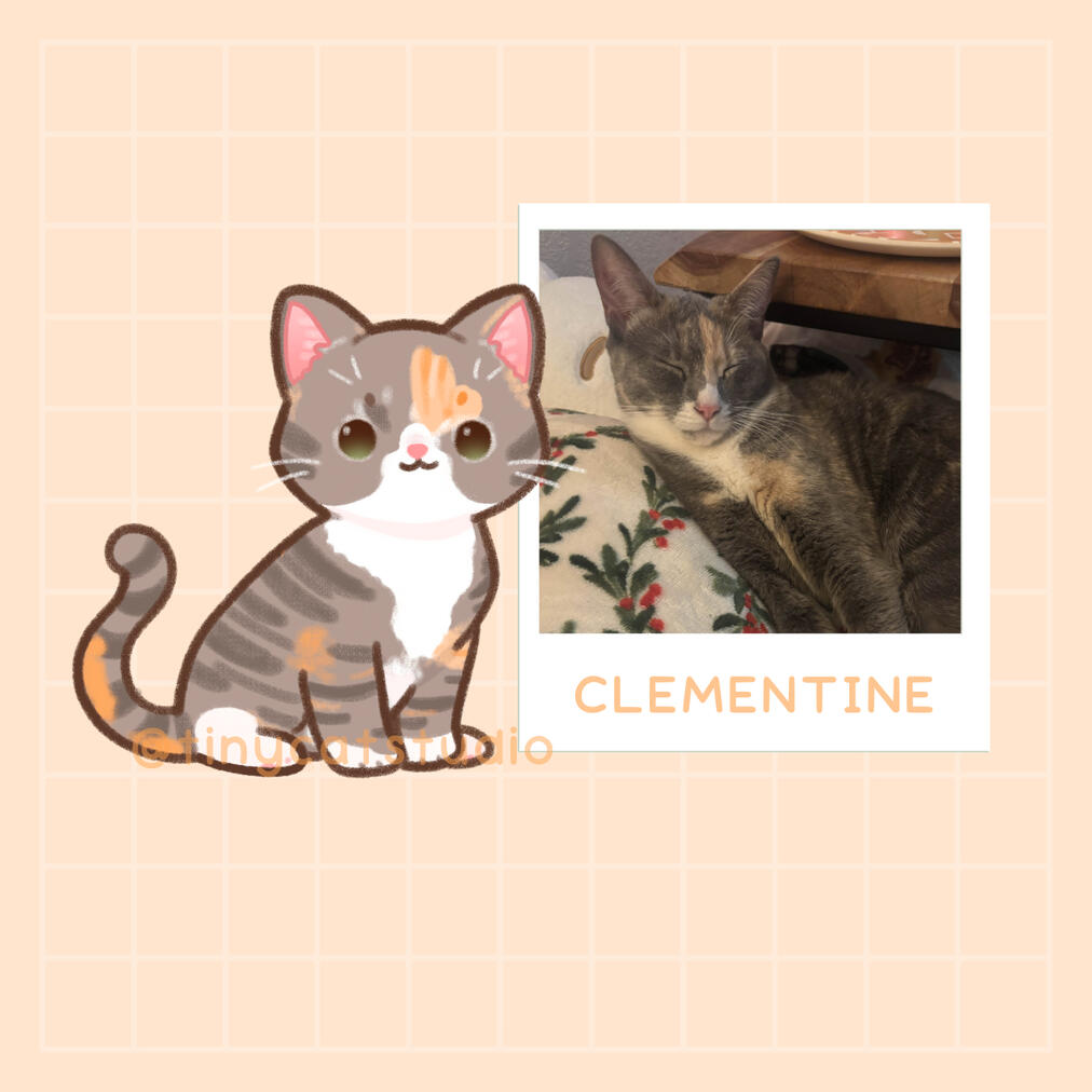 @carleearianna | Clementine's favorite toy is an apurrol spritz bottle