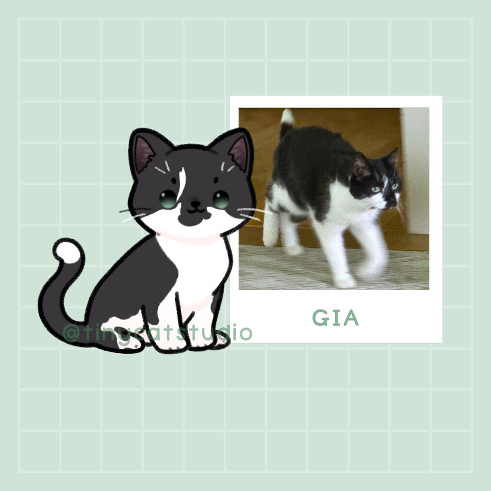 Kat | Gia has one black whisker